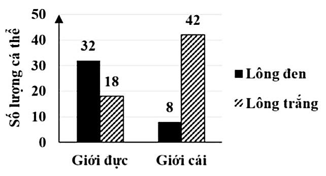 Ở một loài động vật thuộc lớp thú có hình thức giao phối ngẫu nhiên, tính trạng màu sắc lông do một gene  gồm hai allele quy định: A quy định lông đen, a quy định lông trắng; (ảnh 1)