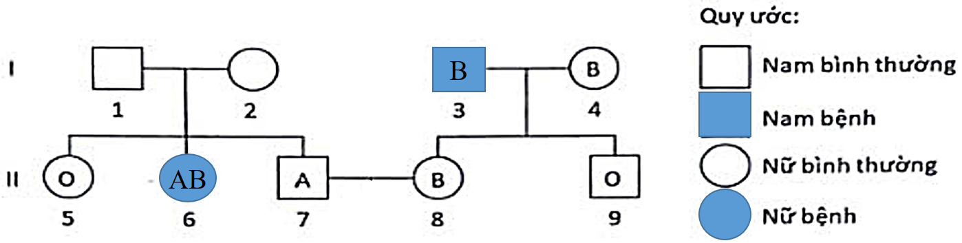 Sơ đồ phả hệ dưới đây mô tả sự di truyền của một bệnh ở người do một trong hai allele nằm trên nhiễm sắc thể thường quy định. Các chữ cái trong sơ đồ thể hiện nhóm máu trong hệ ABO của mỗi người.  (ảnh 1)