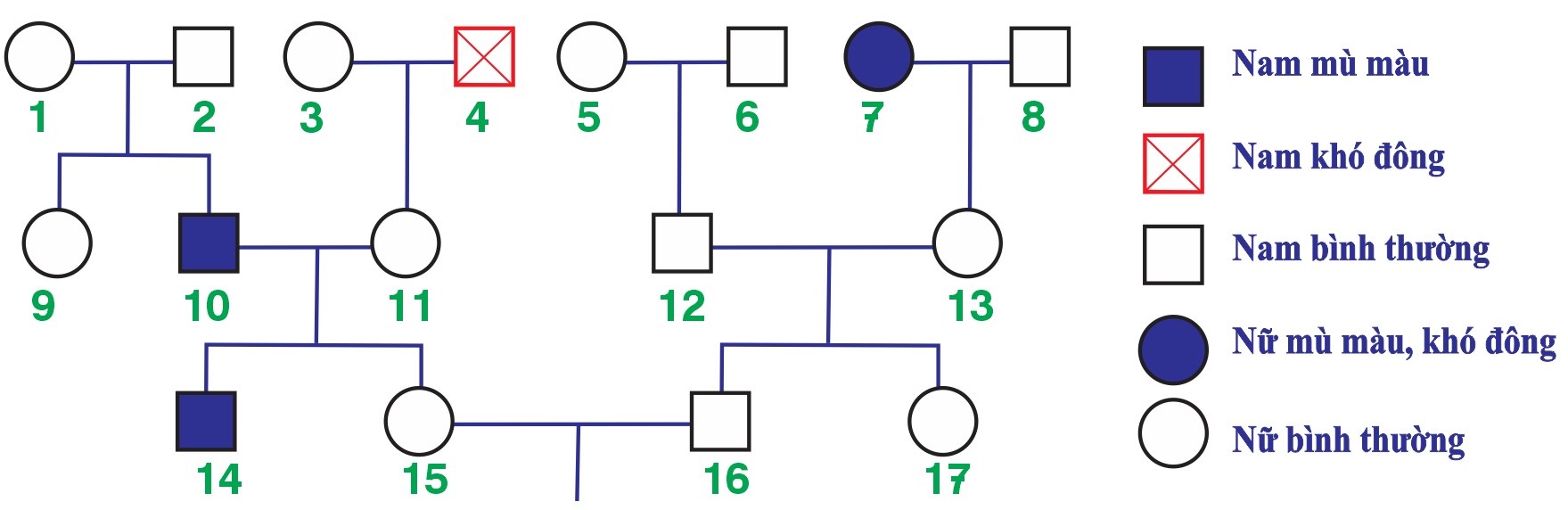 Cho sơ đồ phả hệ sau đây về bệnh mù màu và máu khó không. Biết rằng bệnh mù màu do gene  lặn a gây ra, còn bệnh máu khó đông do gene  lặn b gây ra.  (ảnh 1)
