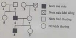Phả hệ bên thể hiện sự di truyền của bệnh mù màu và bệnh máu khó đông trong một gia đình. Cả hai bệnh này đều do gene  lặn nằm ở vùng không tương đồng trên nhiễm sắc thể giới tính X  (ảnh 1)