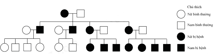 Quan sát phả hệ về một bệnh cơ hiếm gặp ở người sau đây. Có bao nhiêu phát biểu sau đây là đúng? (ảnh 1)