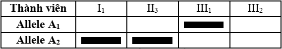 Để xác định vị trí của một gene  gồm hai allele chi phối tính trạng bệnh M, họ đã tiến hành nghiên cứu phả hệ của một gia đình như Hình 4.  (ảnh 1)
