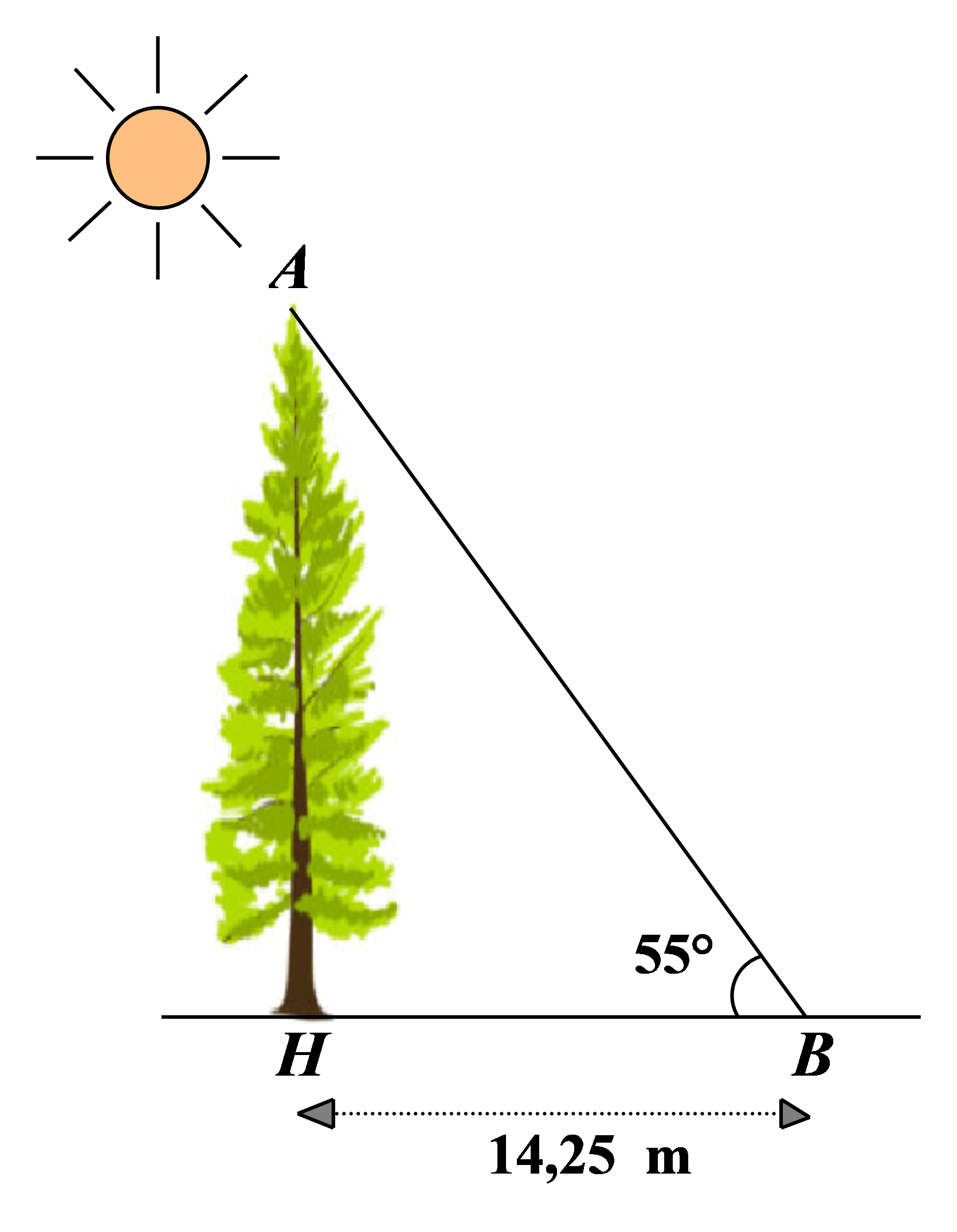 C&acirc;u 28:	Tại một thời điểm trong ng&agrave;y, c&aacute;c tia nắng mặt trời tạo với mặt đất một g&oacute;c bằng \[{\rm{55}}^\circ \], b&oacute;n (ảnh 1)