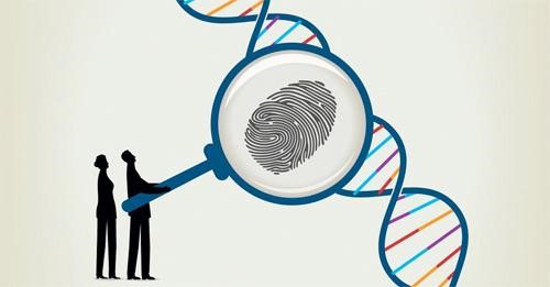 Giám định DNA, hay Lập hồ sơ DNA (DNA profiling) là một kỹ thuật pháp y trong điều tra tội phạm, so sánh hồ sơ của nghi phạm hình sự với bằng chứng DNA để đánh giá khả năng họ có liên quan đến tội phạm hay không. (ảnh 1)