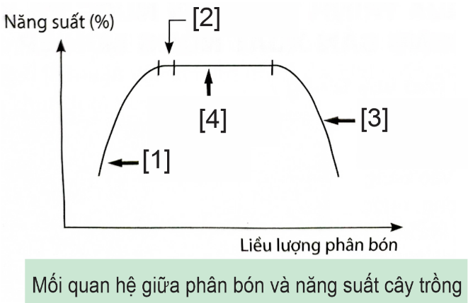 Biểu đồ sau thể hiện mối quan hệ giữa phân bón và năng suất cây trồng. Dựa trên kiến thức và biểu đồ, hãy cho biết mỗi nhận định sau đây là Đúng hay Sai? (ảnh 1)