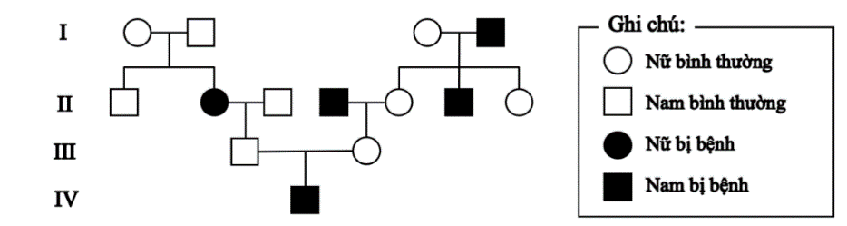 Một bệnh di truyền hiếm gặp ở người do rối loạn chuyển hóa lipid dẫn đến tích tụ hợp chất lipid (glucocerebroside) trong lysosome gây ra triệu chứng tăng thể tích gan, lách và thiếu máu nhẹ. (ảnh 1)