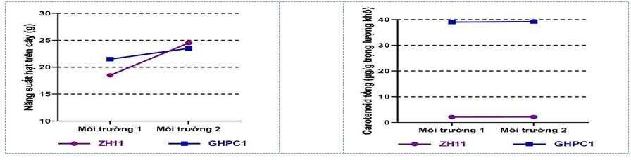 Để nghiên cứu sự biểu hiện tính trạng năng suất và hàm lượng carotenoid tổng số ở hai giống lúa (Oryza sativa L.) là ZH11 và GHPC1 trong các điều kiện gieo trồng khác nhau, nhà chọn giống (ảnh 1)