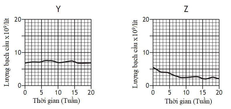 Xét nghiệm máu để đo số lượng bạch cầu (leucocytes. thường được sử dụng để chỉ ra tình trạng nhiễm trùng hoặc bệnh tật. (ảnh 2)