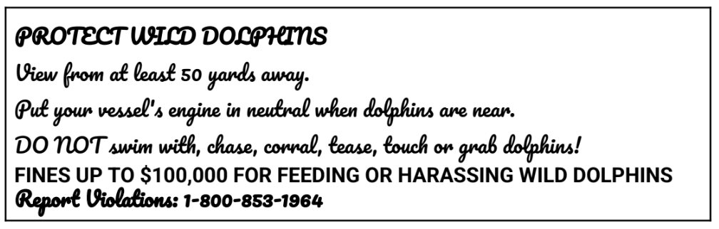 What does the sign say?   A. You can watch the dolphins from very close. B. You can only watch the dolphins from far. C. You can touch or grab the dolphins freely. D. You can feed the dolphins during your visit. (ảnh 1)