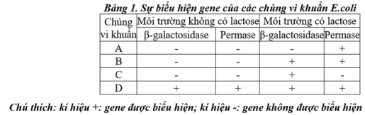 Ở vi khuẩn E.coli kiểu dại, sự biểu hiện của gene lacZ (mã hóa β-galactosidase), gene lacY (mã hóa permase) thuộc operon Lac phụ thuộc vào sự có mặt của lactose trong môi trường nuôi cấy. Bằng kỹ thuật gây đột biến nhân tạo (ảnh 1)