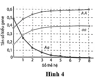 Hình 4 mô tả sự biến đổi tần số ba kiểu gene  AA, Aa, aa ở một quần thể thực vật. Biết quần thể không chịu tác động của chọn lọc tự nhiên và yếu tố ngẫu nhiên. Ban đầu quần thể đang ở trạng thái cân bằng di truyền. (ảnh 1)