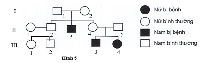 Sơ đồ phả hệ Hình 5 mô tả một bệnh di truyền ở người do một trong hai allele của một gene  quy định. Biết rằng không có đột biến mới phát sinh ở tất cả các cá thể trong phả hệ. (ảnh 1)