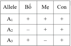 Ở người, xét một gene  có 3 allele (A1, A2, A3) nằm trên NST số 21. Gene  1 có 3 allele gene  2 có 2 allele (B1, B2). Một gia đình có bố mẹ đều bình thường, sinh được một đứa con bị hội chứng Down  (ảnh 1)