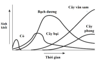 Dãy núi Adirondack nằm ở phía bắc tiểu bang New York, Hoa Kỳ là một khu vực có hệ sinh thái đa dạng với các rừng lá kim, rừng lá rộng và đồng cỏ.  (ảnh 1)