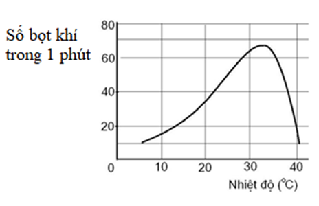 Để nghiên cứu ảnh hưởng của nhiệt độ đối với quá trình quang hợp ở thực vật người ta tiến hành các bước thí nghiệm như sau: Bước 1. Lấy các cành rong đuôi chó cùng độ tuổi,  (ảnh 2)