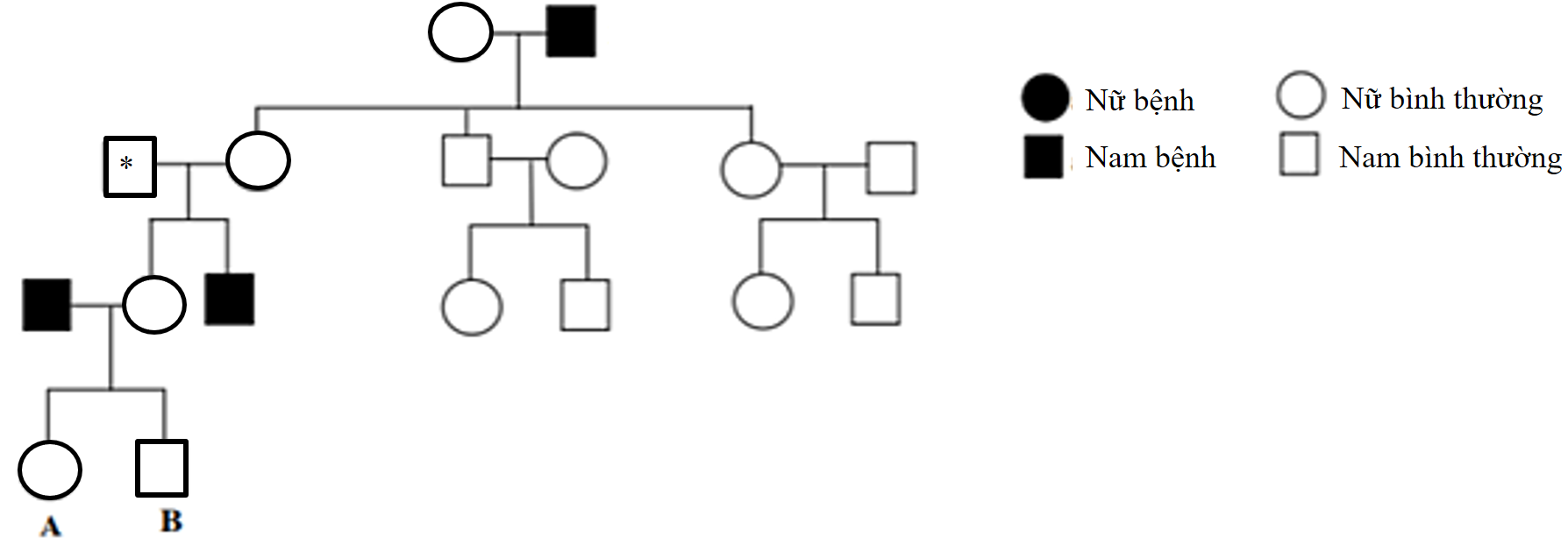 Cho phả hệ về sự di truyền một bệnh ở người do 1 trong 2 allele của 1 gene  quy định. Cho biết người được đánh dấu hoa thị (*) không mang allele gây bệnh  (ảnh 1)