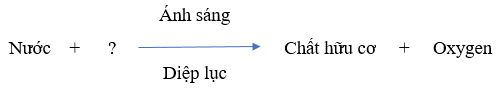 Phương trình tổng quát của quá trình quang hợp Thành phần còn thiếu trong ? của phương trình tổng quát của quá trình quang hợp là A. Chất vô cơ. B. Carbon dioxide. C. Glucose. D. Oxygen. (ảnh 1)