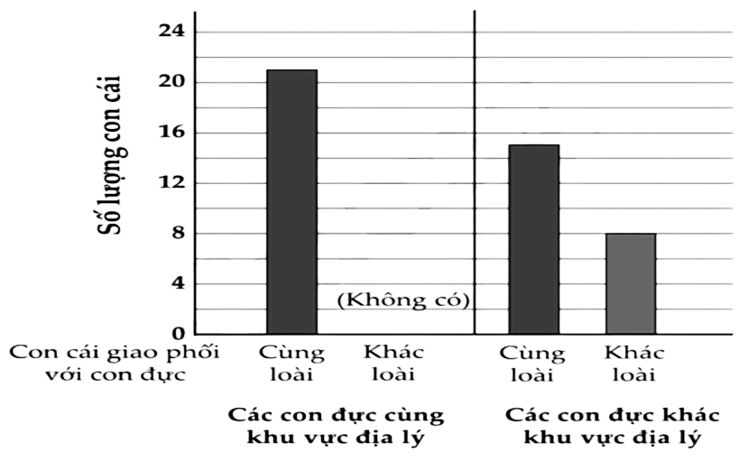 Trong một nghiên cứu về 2 loài chim sâu châu Âu có họ hàng thân thuộc, các nhà khoa học phát hiện ra rằng trong các quần thể cùng khu vực, các con đực khác loài rất khác nhau; (ảnh 1)