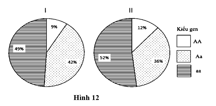 Hình 12 thể hiện tỉ lệ các loại kiểu gene  qui định màu lông của hai quần thể động vật thuộc cùng một loài, allele A qui định lông trắng trội hoàn toàn so với allele a qui định lông đen, gene   nằm trên nhiễm sắc thể thường. (ảnh 1)