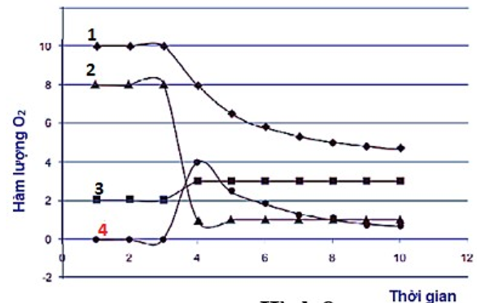 Lươn nước ngọt thường lấy O2 qua mang nhưng khi ra khỏi môi trường nước nó có thể sống được một thời gian dài bằng cách hô hấp qua da. (ảnh 1)