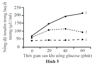 Tiểu đường là bệnh rối loạn chuyển hoá, liên quan đến khả năng sản xuất hoặc sử dụng hormone insulin của cơ thể. (ảnh 1)