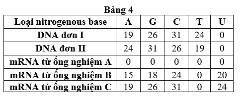 Một nhà khoa học nghiên cứu một đoạn DNA. Trong hỗn hợp mẫu ban đầu, có hai đoạn DNA mạch kép. Sau khi xử lý và phân tích thành phần nitrogenous base ở mỗi đoạn DNA,  (ảnh 1)