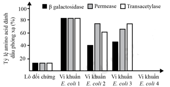 Vào những năm 1950, hai nhà khoa học Monod và Jacob đã nghiên cứu phát hiện ra cơ chế điều hòa biểu hiện của operon lac ở vi khuẩn E. coli. Monod và Jacob đã tiến hành thí nghiệm tìm hiểu cơ chế lactose có thể gây cảm ứng khiến tế bào E. coli tổng hợp (ảnh 1)