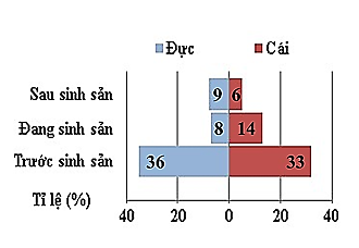 Biểu đồ hình dưới thể hiện đặc trưng cơ bản của một quần thể cá. Nhận xét nào sau đây được rút ra từ biểu đồ là đúng?  (ảnh 1)