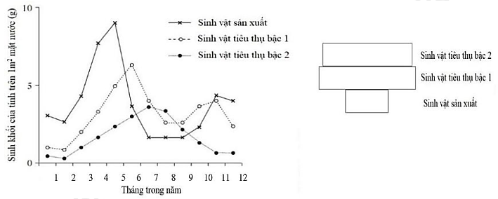 Biểu đồ dưới đây mô tả sự thay đổi về sinh khối trong suốt một năm của một hệ sinh thái dưới nước. Hình tháp sinh khối sau đây phù hợp để mô tả sự thay đổi sinh khối vào tháng nào trong năm (ảnh 1)