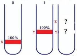 Một nhóm nghiên cứu thực hiện thí nghiệm để kiểm chứng mô hình nhân đôi DNA ở vùng nhân của tế bào nhân sơ. Họ đã nuôi một số vi khuẩn E. coli trong môi trường chỉ có nitrogen đồng vị nặng (15N). (ảnh 1)
