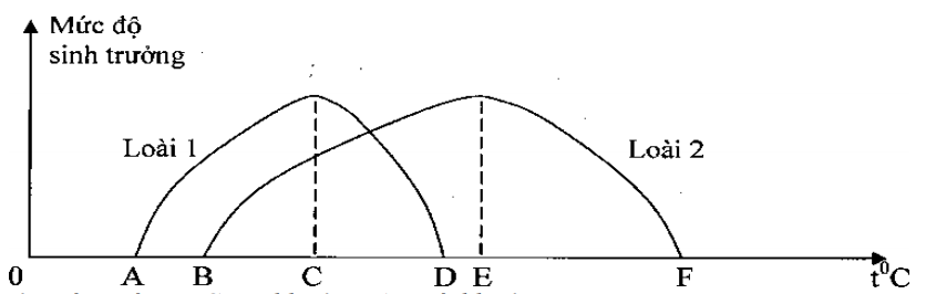 Nghiên cứu ảnh hưởng của nhân tố nhiệt độ lên đời sống hai loài sinh vật ở quần đảo Hoàng Sa của Việt Nam, người ta đã lập được biểu đồ sau đây: (ảnh 1)