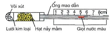 Hình bên mô tả thời điểm bắt đầu thí nghiệm phát hiện hô hấp ở thực vật. Thí nghiệm được thiết kế đúng chuẩn quy định. Dự đoán nào sau đây đúng về kết quả thí nghiệm? (ảnh 1)