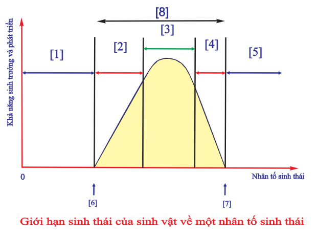 Hình vẽ mô tả giới hạn sinh thái của sinh vật về một nhân tố sinh thái. Nhận định nào sau đây về hình này là không đúng? (ảnh 1)