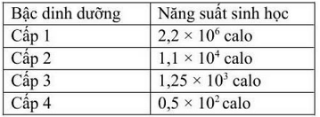 Cho các thông tin ở bảng dưới đây:   Hiệu suất sinh thái giữa bậc dinh dưỡng cấp 2 so với bậc dinh dưỡng cấp 1 là bao nhiêu? (ảnh 1)