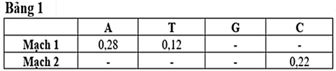 Một phân tử nucleic acid mạch kép có tỉ lệ từng loại nucleotide của từng mạch được thể hiện ở bảng 1 dưới đây (dấu “ -’’ thể hiện chưa xác định được số liệu). Biết rằng tổng tỉ lệ 4 loại nucleotide trên mỗi mạch đơn là 1. (ảnh 1)