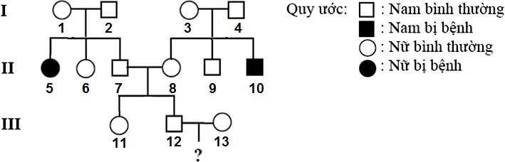 Sơ đồ phả hệ sau đây mô tả sự di truyền của bệnh M ở người do một gene với 2 alen trội lặn hoàn toàn quy định.  (ảnh 1)