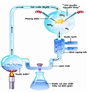 Hình 2 mô tả thí nghiệm của Miller và Urey (1953) nhằm kiểm tra giả thuyết về nguồn gốc sự sống của Oparin và Haldan: (ảnh 1)