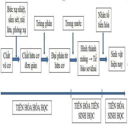 Hiện nay hầu hết các nhà khoa học đều thừa nhận quá trình tiến hóa hình thành nên tế bào đầu tiên trên Trái Đất trải qua các giai đoạn theo tuần tự nào? Quan sát Hình 4 và chọn phương án đúng. (ảnh 1)