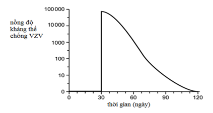 Tháp sinh thái là A. biểu đồ hình cột, mô tả định lượng mối quan hệ dinh dưỡng giữa các bậc dinh dưỡng trong quần xã sinh vật. (ảnh 1)