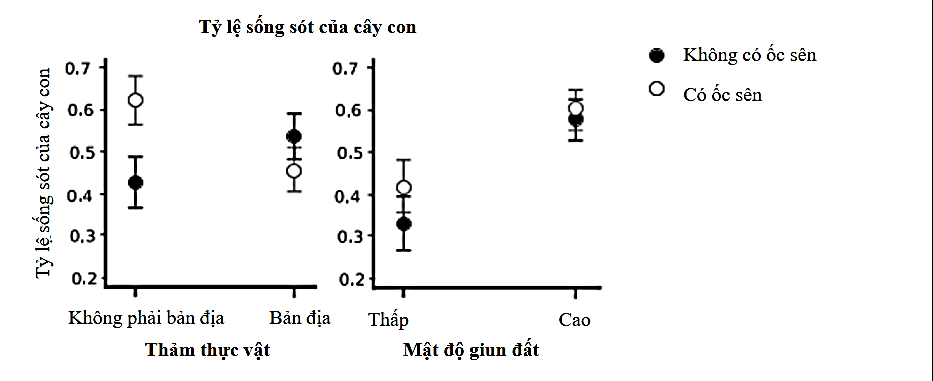 Để hiểu tác động của một số yếu tố lên thực vật Agrimonia rostellata trong hệ sinh thái rừng, các nhà khoa học đã trồng cây con vào các khu vực thí nghiệm (ảnh 1)