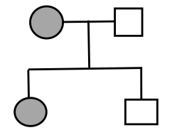 Ở người, tính trạng thuận tay phải là trội hoàn toàn so với tính trạng thuận tay trái. Một gia đình có bố thuận tay phải, mẹ thuận tay trái đã sinh ra hai người con gái, trong đó có một người con gái thuận tay trái. Quy ước: (ảnh 3)