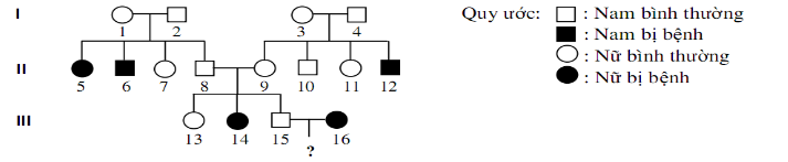 Bệnh mù màu đỏ và lục ở người do gene đột biến lặn (b) nằm trên nhiễm sắc thể X không có allele tương ứng trên Y, allele B quy định kiểu hình bình thường và trội hoàn toàn so với allele b. B (ảnh 1)