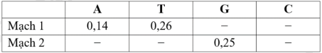 Một gene có tỷ lệ tương ứng các nucleotide ở các mạch đơn thể hiện ở bảng dưới đây. Biết tổng tỷ lệ các loại nucleotide ở mỗi mạch đơn là 1,00. Dấu - thể hiện chưa xác định được số liệu: (ảnh 1)