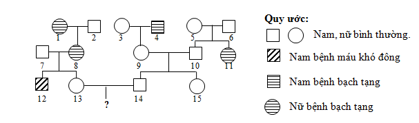 Ở người, bệnh bạch tạng do gene lặn nằm trên nhiễm sắc thể thường quy định, bệnh máu khó đông do gene lặn nằm trên vùng không tương đồng của nhiễm sắc thể X quy định. Cho sơ đồ phả hệ mô tả sự di truyền của 2 bệnh này trong 1 gia đình như hình dưới đây. (ảnh 1)