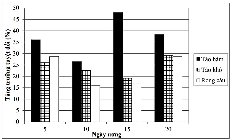 Khi nghiên cứu sự tăng trưởng tuyệt đối của ốc đĩa (Nerita balteata) giống với ba loại thức ăn là tảo bám, tảo khô và rong câu (Gracilaria sp) tại tỉnh Quảng Ninh năm  2013, (ảnh 1)