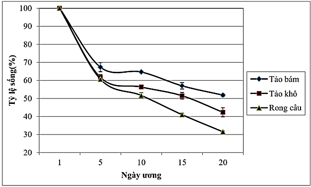 Khi nghiên cứu sự tăng trưởng tuyệt đối của ốc đĩa (Nerita balteata) giống với ba loại thức ăn là tảo bám, tảo khô và rong câu (Gracilaria sp) tại tỉnh Quảng Ninh năm  2013, (ảnh 2)