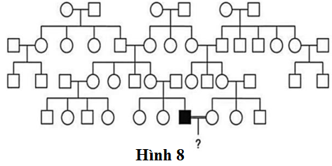 Một dạng bệnh điếc ở người do đột biến gene  trên nhiễm sắc thể giới tính gây rA. Một người đàn ông mắc dạng điếc này kết hôn với một người phụ nữ bình thường. (ảnh 1)