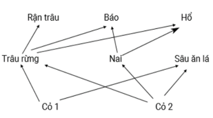 Một lưới thức ăn gồm các loài sinh vật được mô tả ở hình dưới đây.   Theo lí thuyết, lưới thức ăn này có tối đa bao nhiêu chuỗi thức ăn? (ảnh 1)
