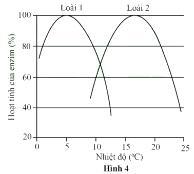 ) Hai loài cá hồi (Salmonidae) sinh sống trong các suối ở một vùng núi. Kết quả nghiên cứu hoạt tính của một loại enzyme ở 2 loài dưới tác động của nhiệt độ được trình bày ở Hình 4. (ảnh 1)