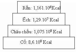 Cho sơ đồ tháp sinh thái năng lượng sau:   Tỉ lệ tích luỹ năng lượng của sinh vật tiêu thụ bậc 3 bằng bao nhiêu % ? (ảnh 1)